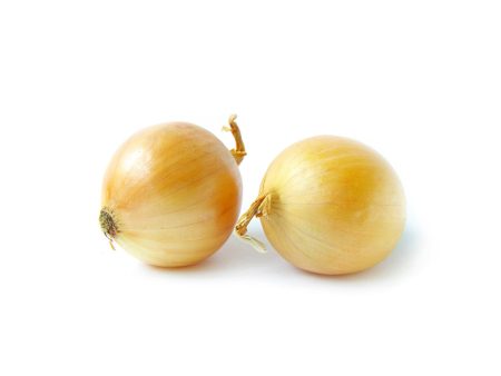 Yellow Onion For Sale