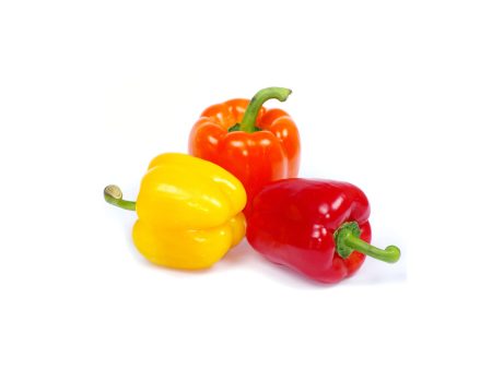 Capsicum Online now