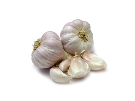 Garlic Organic Online now