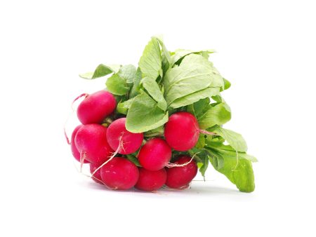 Radish Red Globe Online